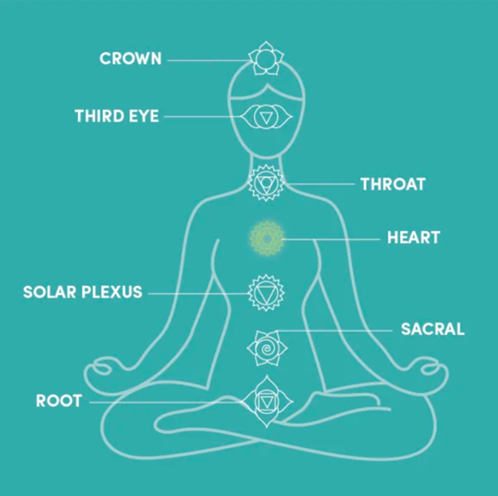 7 chakras of the body explained