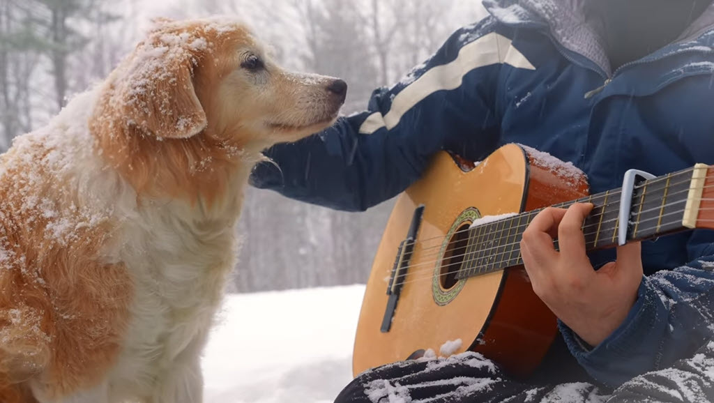 Acoustic Trench plays Paradise by Coldplay fingerstyle guitar with his dog