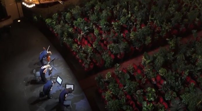 Barcelona opera house plants