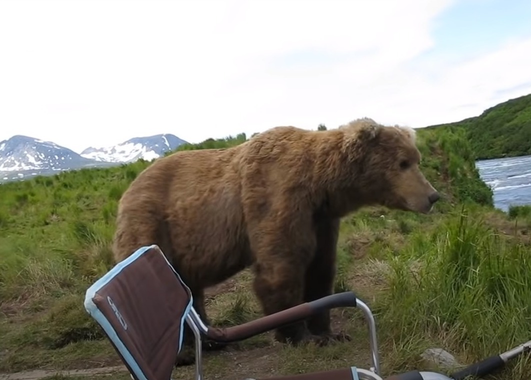 bear-sits-down-beside-guy