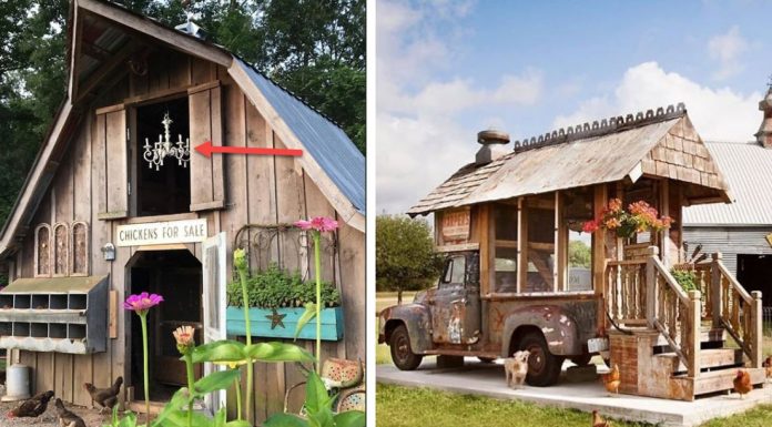 Beautiful chicken coops for free-range chickens and farm fresh eggs