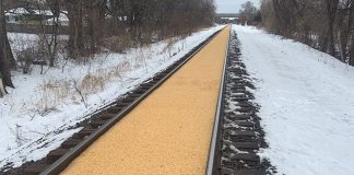 Corn spill Crystal Minnesota train tracks