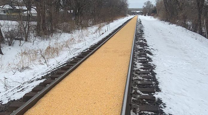 Corn spill Crystal Minnesota train tracks