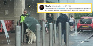 dog-cop-umbrella