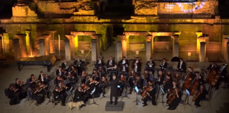 dog-crash-orchestra-featured-image