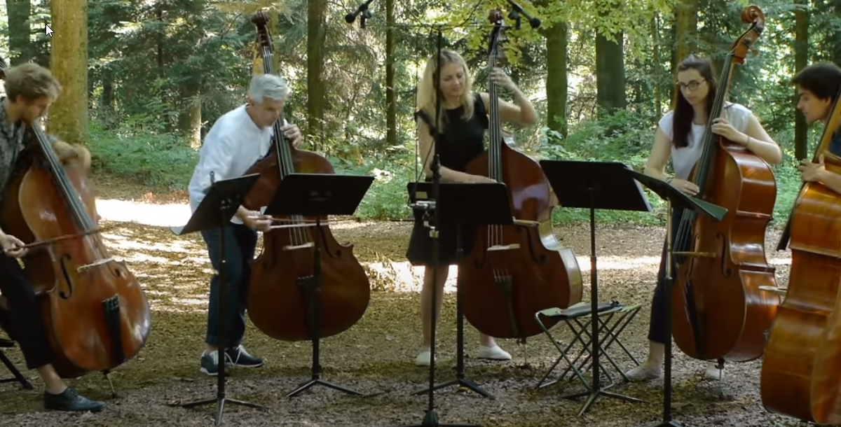 This Double Bass Quintet Played the 'Pink Panther Theme' in the Middle