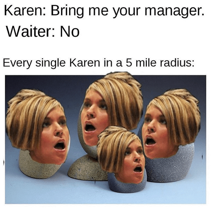 The Very Best 23 'Karen' Memes of 2020 (So Far)