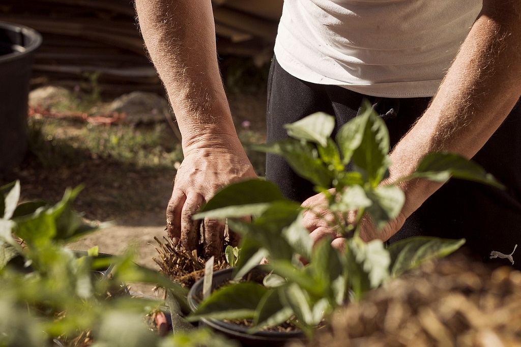 Gardening Dirty Hands