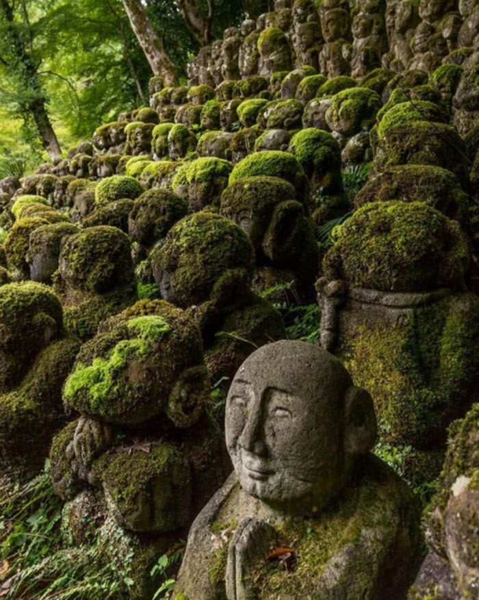 Japanese shrine reclaimed by nature