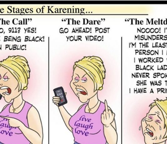Karen memes 2020