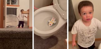 little boy puts toothpaste in the toilet lying requires a larger vocabulary