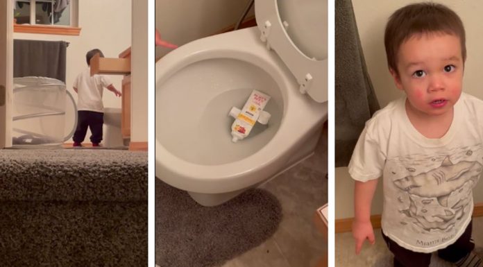 little boy puts toothpaste in the toilet lying requires a larger vocabulary