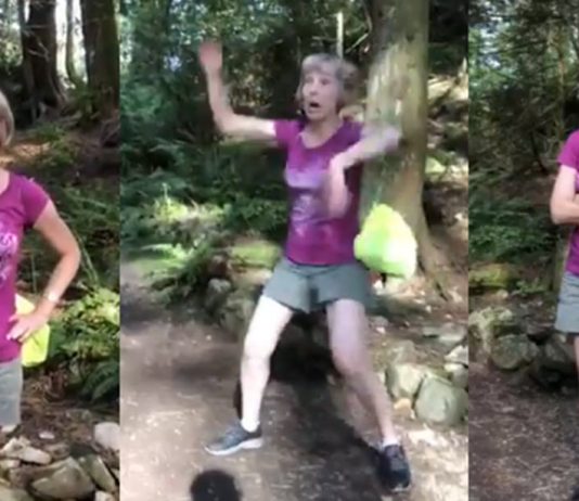 Karen does racists rage dance in Canadian park