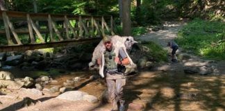 park ranger carrying dog