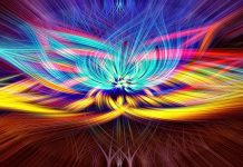 psychedelics to treat PTSD