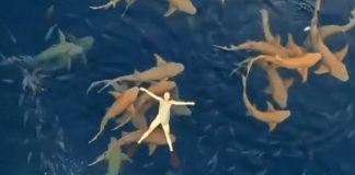 woman floating in sharks