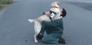 service-dog-prison-trained-featured-image