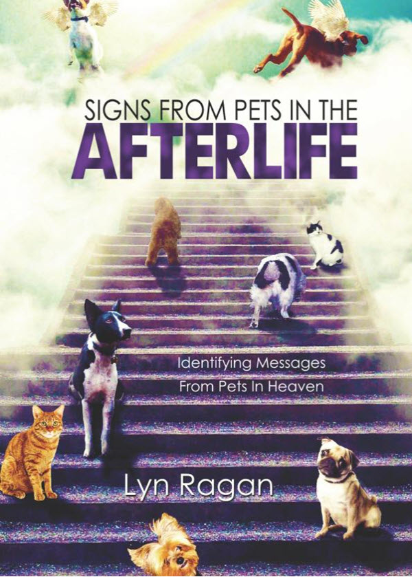 Signs from Pets in the Afterlife book