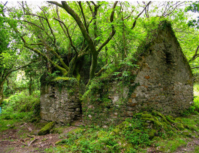 Stone cottage in Sneem/Kenmare Ireland