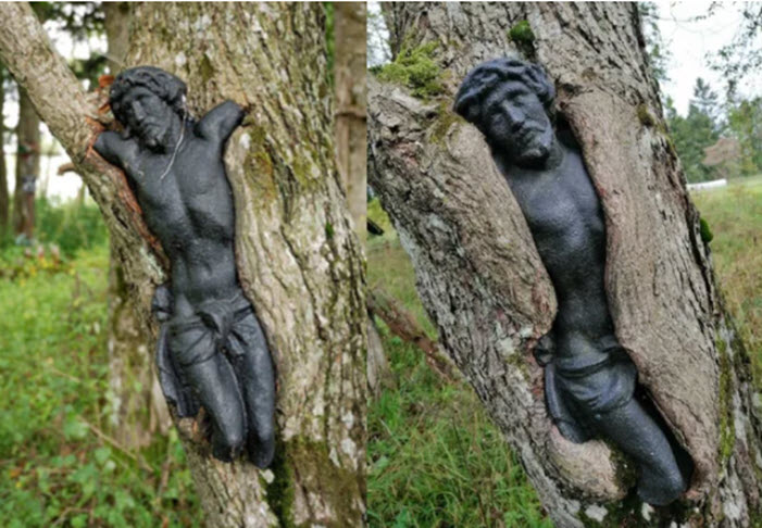 Sculpture of Jesus at a Polish cemetery absorbed by a tree